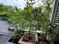 Lloyd Road (D9), Condominium #575407871